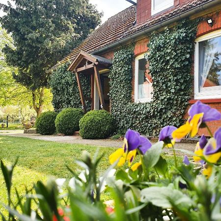Am Alten Haus Altenmedingen Εξωτερικό φωτογραφία