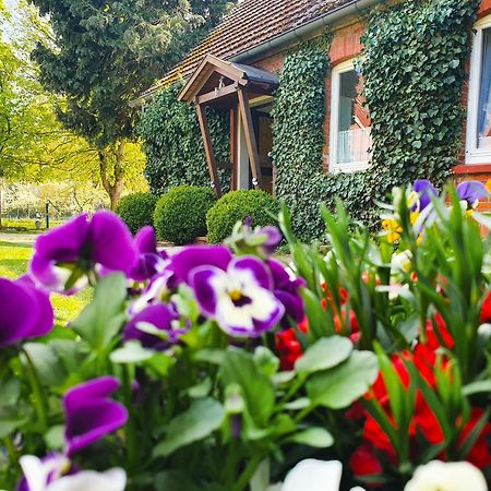 Am Alten Haus Altenmedingen Εξωτερικό φωτογραφία