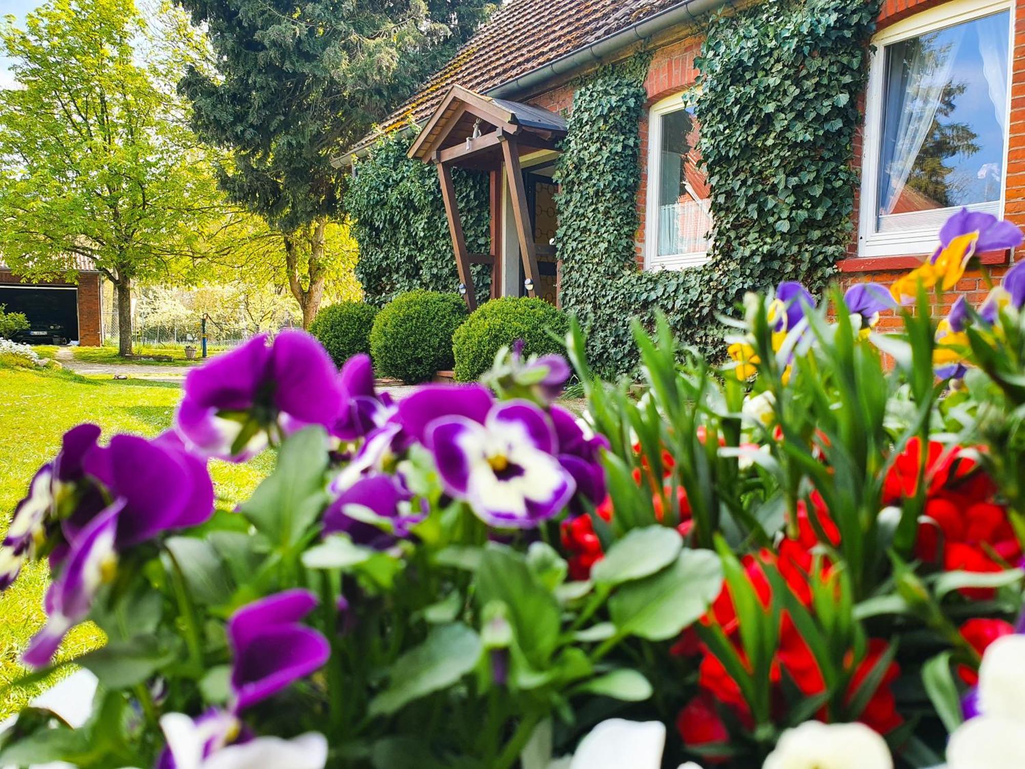 Am Alten Haus Altenmedingen Εξωτερικό φωτογραφία